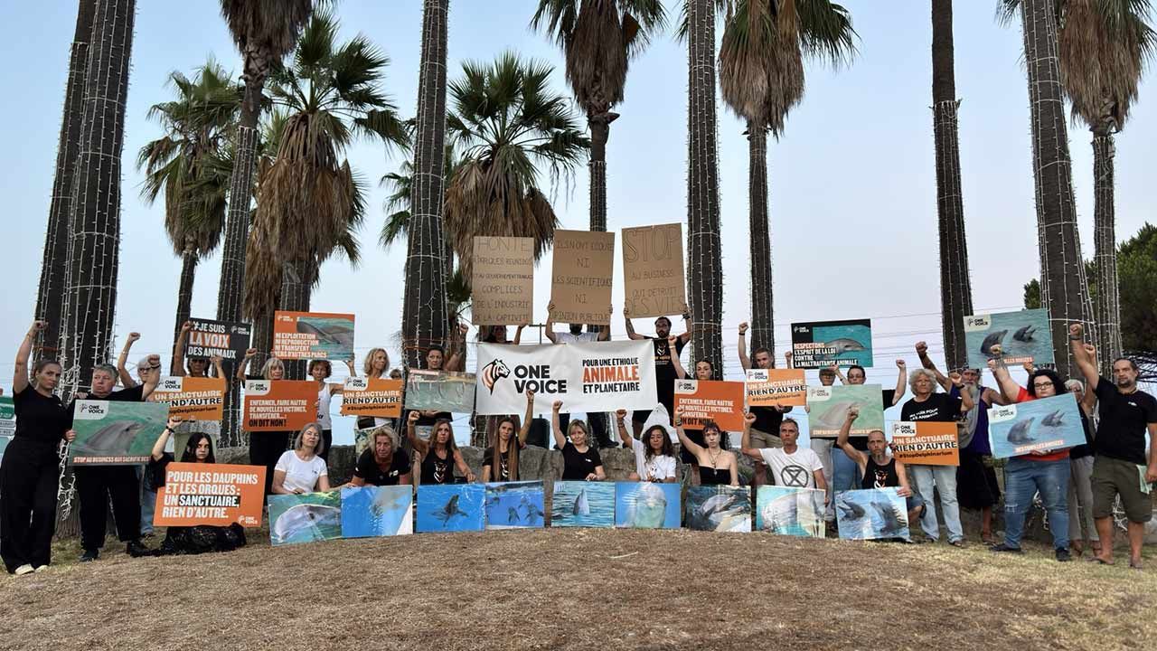 Photo One Voice : Les militants de One Voice ont protesté contre ce transfert.