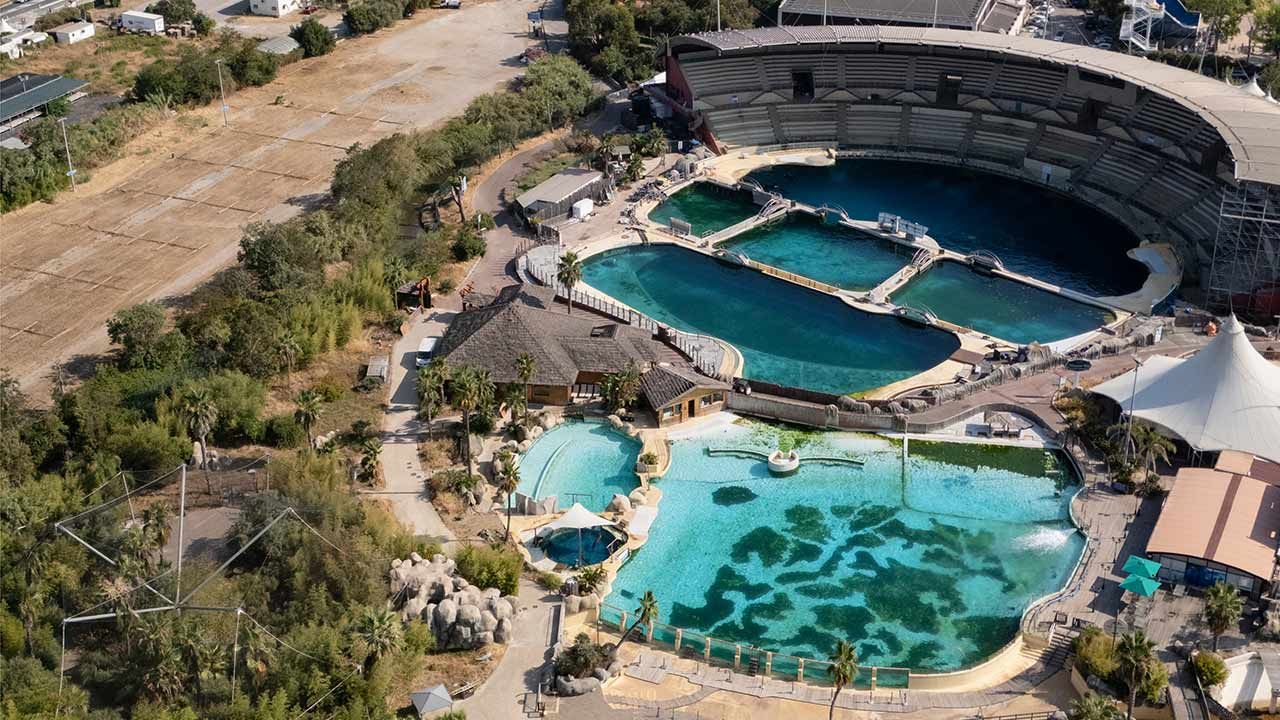 Photo One Voice : Quatre dauphins et deux orques restent encore dans les bassins de Marineland.